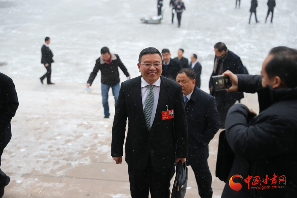 【聚焦2020甘肅兩會】“兩會”代表、委員風采掠影（組圖）