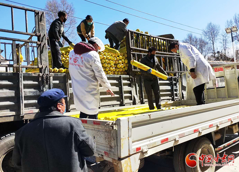 【甘肅全民戰“疫”】臨潭：農資用品送到家 解春耕燃眉之急