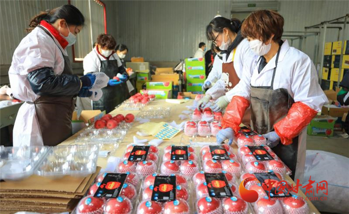 【甘肅全民戰“疫”】天水秦安20噸“平安果”馳援武漢助力抗疫