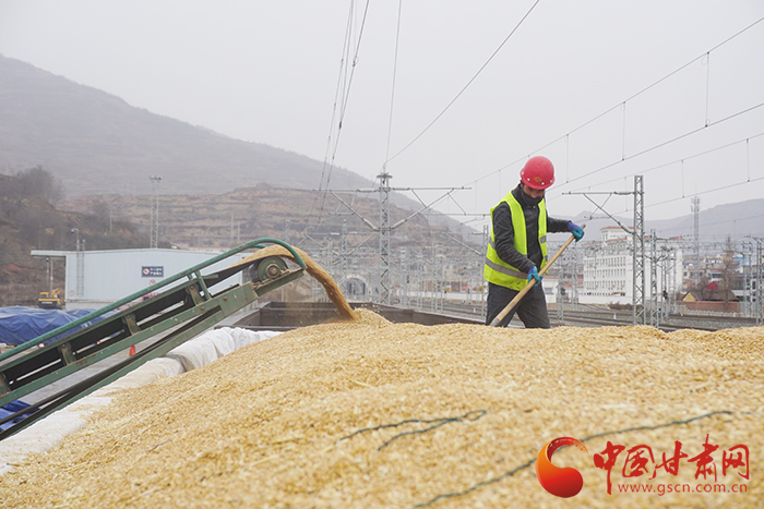 蘭州貨運中心岷縣營業部黨支部為客戶解愁為企業復工復產按下“快進鍵”