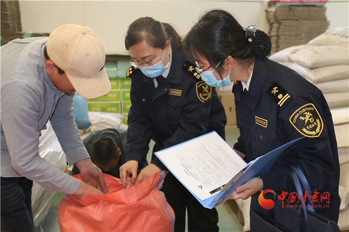 一季度甘肅省出口種子實現開門紅