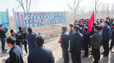 臨夏州種苗站積極實施臨夏牡丹良種繁育推廣示范中央財政林業科技推廣示范項