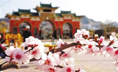 春暖花開旅游季丨春紅正當時 賞花好時節