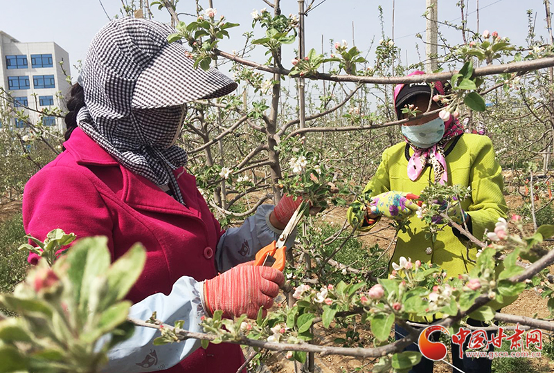 【甘肅省決戰決勝脫貧攻堅】靈臺模式：盤活勞務內生動力 助力脫貧攻堅之戰（圖）