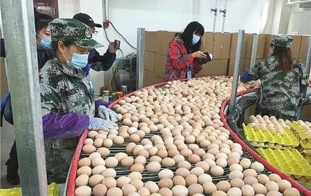 創新產業帶貧機制 做活扶貧大文章——隴南禮縣產業扶貧工作綜述