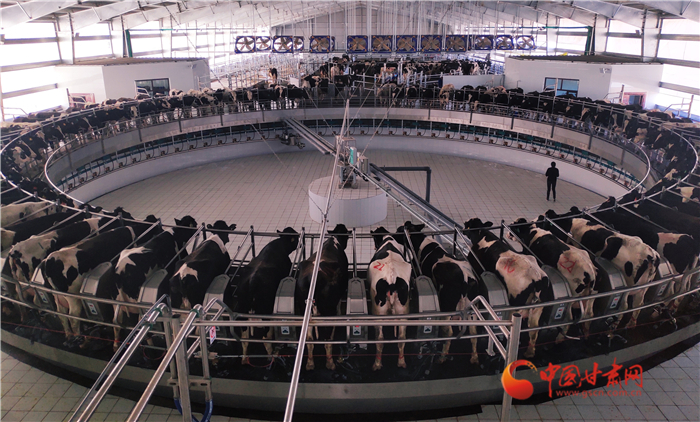 【甘肅省決戰(zhàn)決勝脫貧攻堅·面對面】馬志祥：前進村不做華西村九牛一毛 要當(dāng)華西村九牛一牛