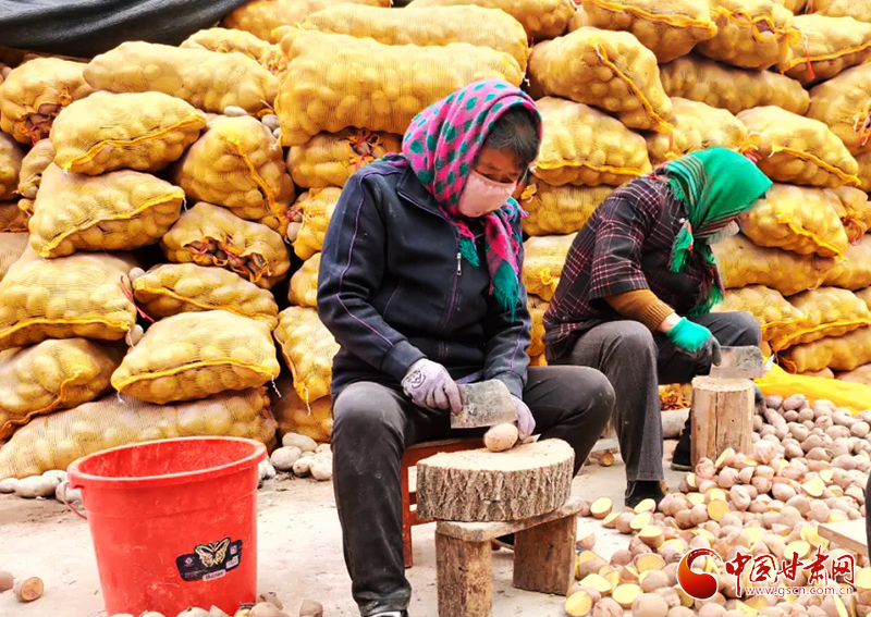 【甘肅省決戰決勝脫貧攻堅】臨夏縣：培育富民產業 助農穩步脫貧（圖）