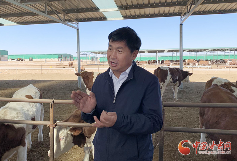 【甘肅省決戰決勝脫貧攻堅】古浪縣：特色養殖業激活脫貧“造血功能” 讓村民過上富裕的日子 （圖）