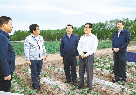 林鐸在天?？h調研指導脫貧攻堅工作時強調  拉開架勢持續用力構建扶貧產業體系 多措并舉固強補弱鞏固提升脫貧成果