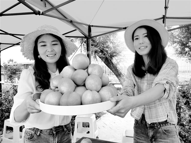 甘肅臨夏縣第三屆采摘節開幕