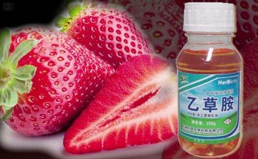 半小時測出千種農藥殘留技術落地蘭州