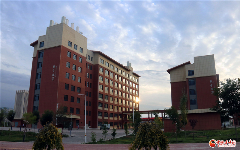 【十年巨變 看新區成就】職教新城：專業技術人才的搖籃