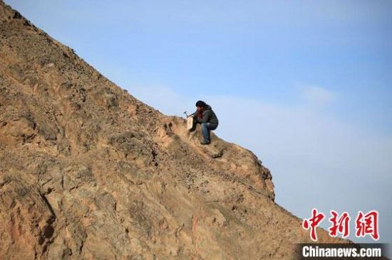 圖為敦煌“80后”畫家張杰龍在敦煌三危山里采集礦石顏料。(資料圖)受訪者供圖