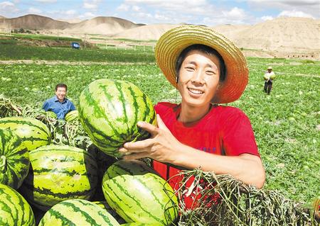 精準發力 全力攻堅摘窮帽 ——靖遠縣脫貧攻堅工作綜述