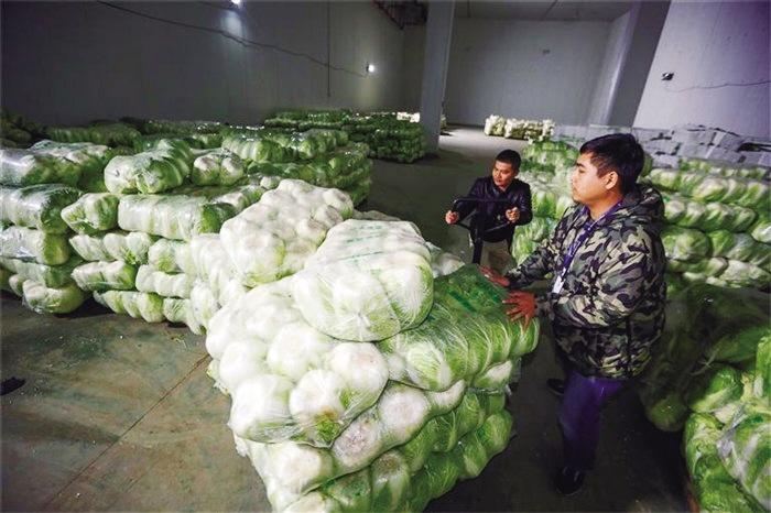 蘭州市已儲備1萬噸冬春蔬菜 以耐貯存、易周轉品種為主
