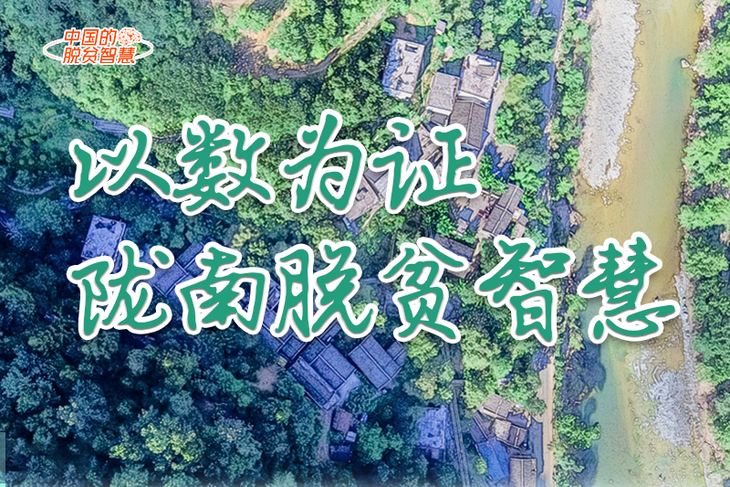 【中國(guó)的脫貧智慧】以數(shù)為證！隴南脫貧智慧來(lái)了！