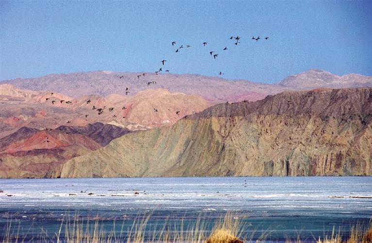 “天境昌馬”“紅田園”被評為國家3A級旅游景區