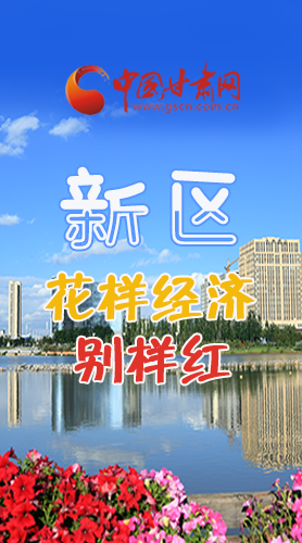 圖解|蘭州新區：“花樣經濟”別樣紅