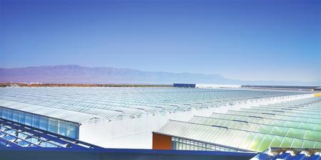 脫貧攻堅成色足 鄉村振興底色新——張掖市脫貧攻堅綜述