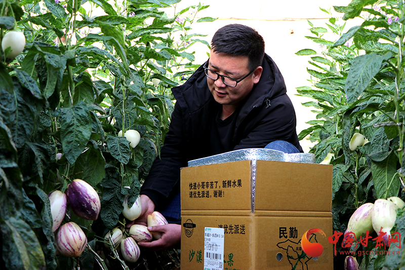 鋪路架橋惠農家 民勤郵政打造服務鄉村振興“生態圈”