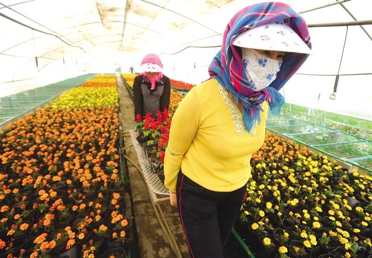 讓脫貧成果助推鄉村振興——蘭州市打贏脫貧攻堅戰綜述