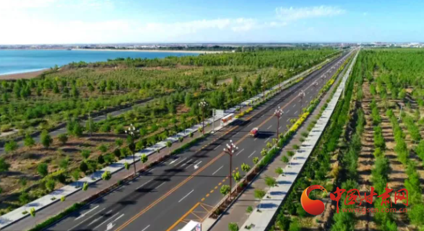 金塔：整合優質資源擦亮農業發展“金名片”