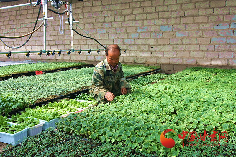 瓜州：學黨史辦實事 讓產業分紅資金曬在陽光下