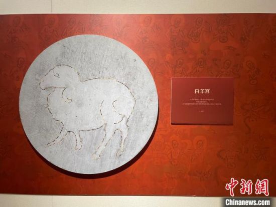 圖為展覽現場。　江楊燁 攝