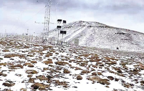 甘肅省祁連山生態環境研究中心在青海湖流域建成野外觀測基地