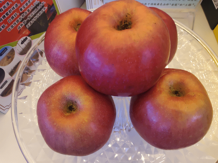 【厚道甘肅 地道甘味】 平涼好味道 綠色農產自帶養生元素