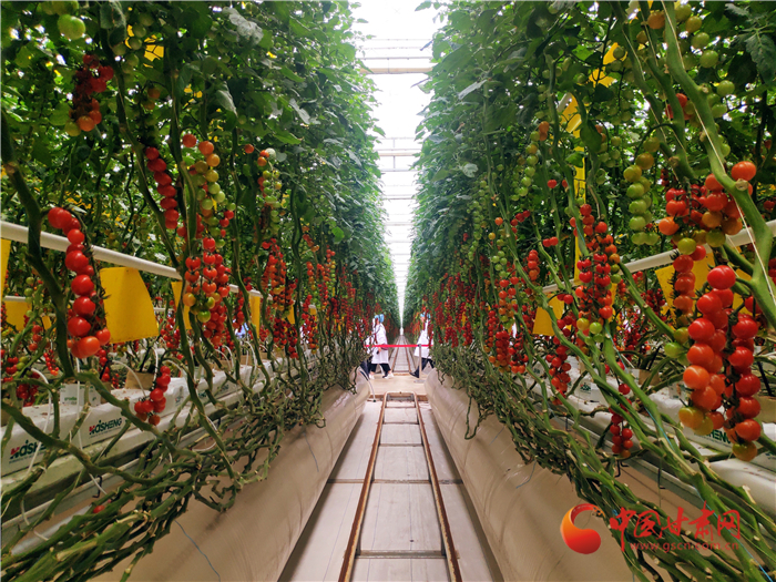 奮進路上感謝有你 天津幫扶平涼點滴見真情