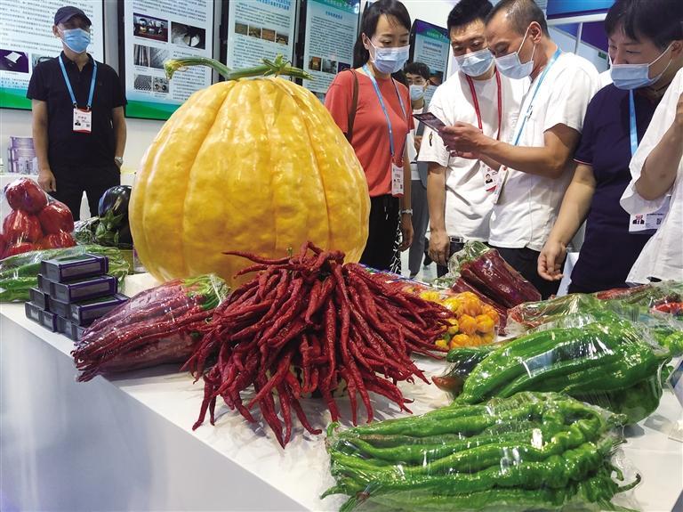 第二十七屆蘭洽會實(shí)現(xiàn)“線上+線下”全面展示“地道甘味”散發(fā)獨(dú)特魅力