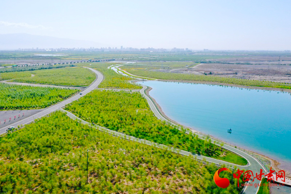 【隴拍客】張掖甘州：戈壁變水鄉 荒灘生綠洲