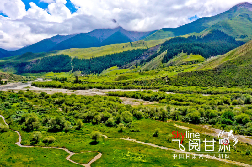 【飛閱甘肅】祁連山國(guó)家公園：雨霽初晴 林海如畫(huà)