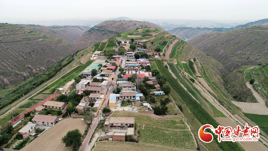 【中甘特稿】飛閱沈家嶺 探尋一座英雄城市的精神密碼