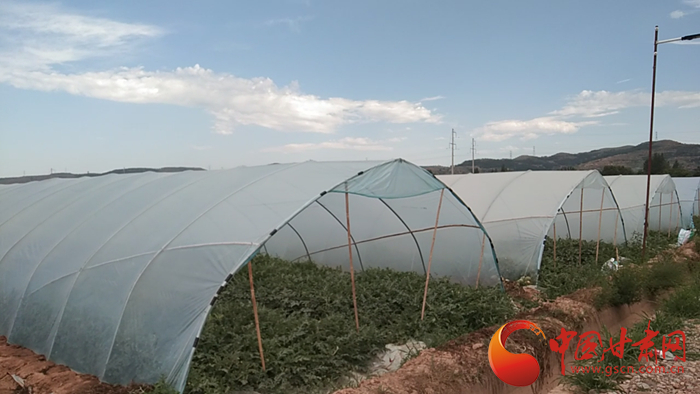 【蘭大新聞學子重走西北角】平涼花所鎮：“流動的”西瓜大棚圓了“小康夢”