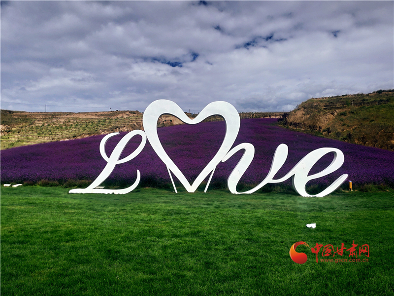 【以村為美】“鄉約”榆中品金秋：花田正爛漫 浪街瓜果香