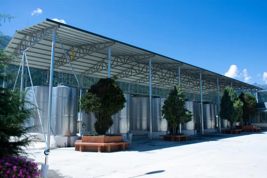 迭部：釀青稞好酒 助鄉村振興