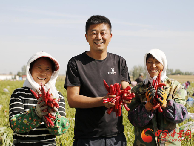【喜迎黨代會 奮進新征程】武威涼州：綜合實力穩步提升 縣域經濟提質增效