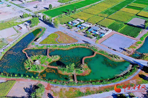 【小康圓夢·看甘肅】臨澤縣鴨暖鎮：精雕細琢“繡”出美麗鄉村新畫卷