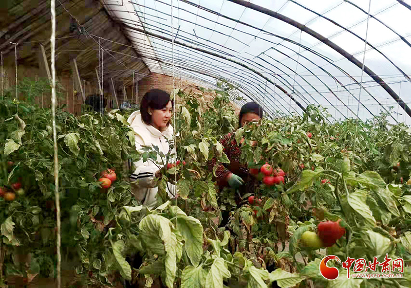 【小康路上看老鄉】甘肅靜寧：人勤春來早 多措備春耕