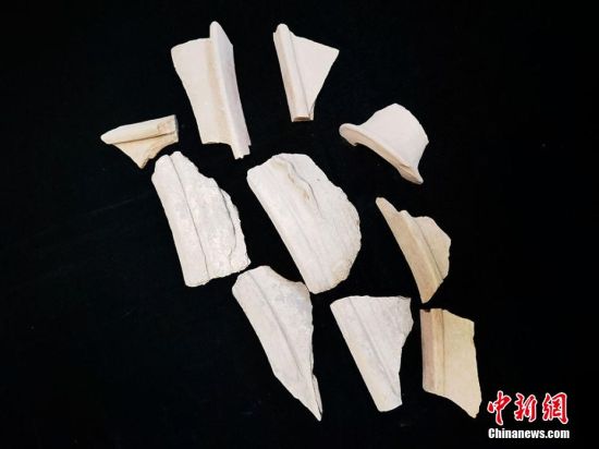 圖為靜寧縣賈河鄉竇坪村出土的彩陶片、紅陶片。 夏劍鋒 攝