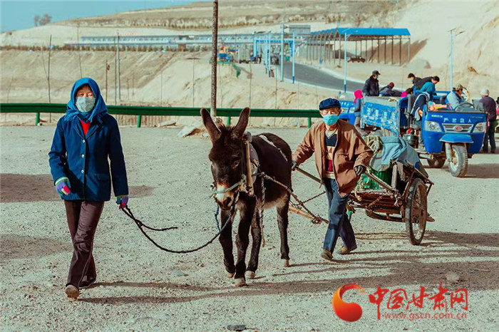 【小康路上看老鄉】蘭州榆中：北山百合迎豐收 產銷兩旺助致富
