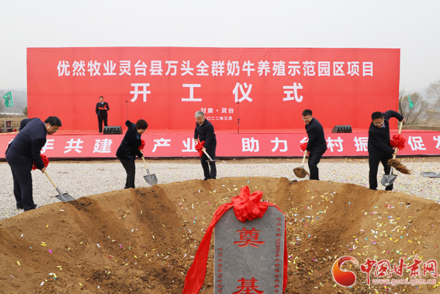 總投資7.2億元！優然牧業靈臺縣萬頭全群奶牛養殖示范園區項目開工