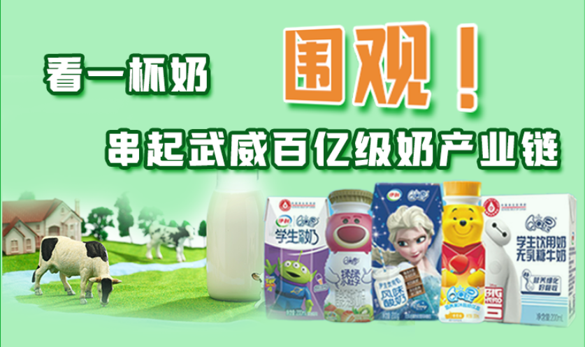 圖解|圍觀!看一杯奶串起武威百億級奶產(chǎn)業(yè)鏈
