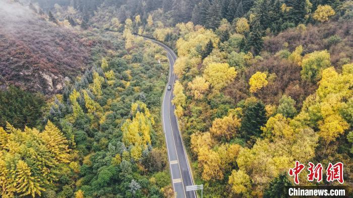 深秋,航拍位于蘭州市榆中縣的興隆山,景色如畫。金峯 攝</p>
<p> 深秋,航拍位于蘭州市榆中縣的興隆山,景色如畫。金峯 攝</p>
<p>