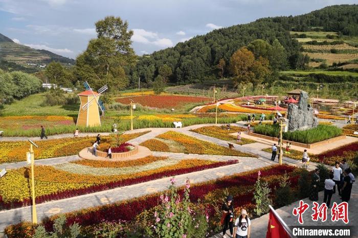 圖為航拍甘肅甘南臨潭縣八角鎮(zhèn)，花海吸引游人。(資料圖)高展 攝