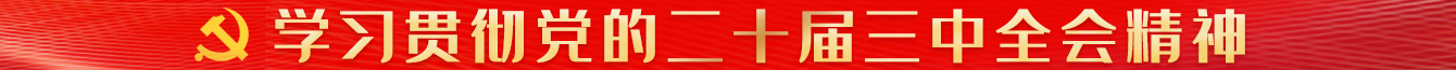 學(xué)習(xí)貫徹三中全會精神