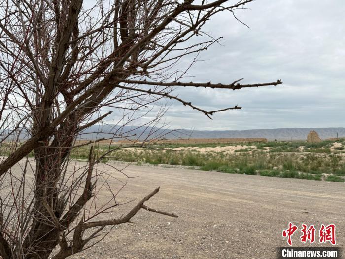 圖為位于長(zhǎng)城墻體上的“馬面”或“敵臺(tái)”。　戴文昌 攝