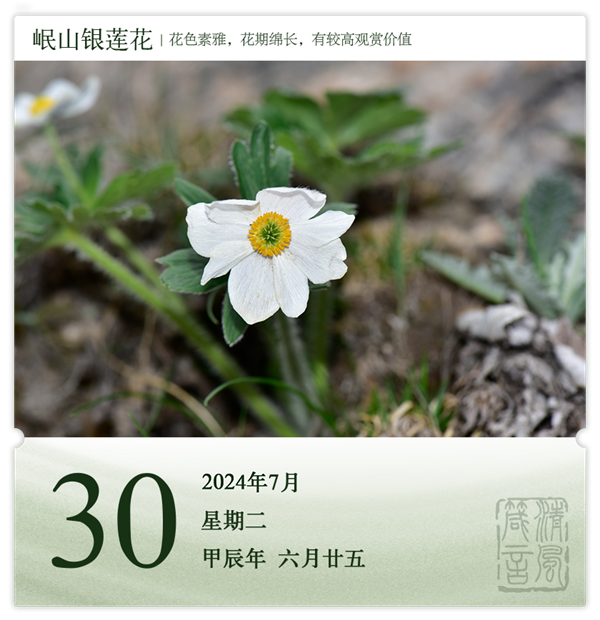 1722244868632062.png 箴歷日歷7-30.png